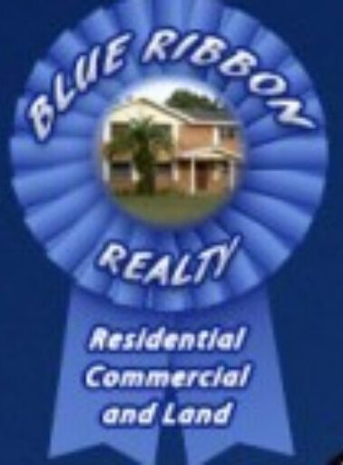 Blue Ribbon Real Estate